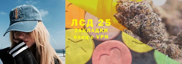 PSILOCYBIN Беломорск