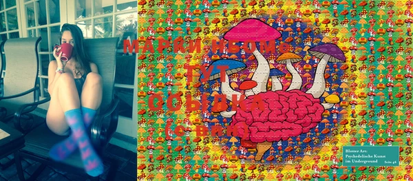 PSILOCYBIN Беломорск