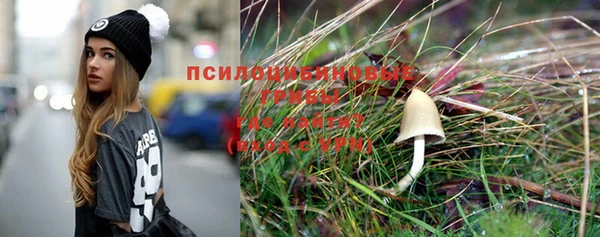 PSILOCYBIN Беломорск