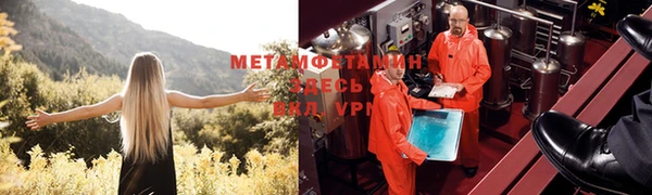 мяу мяу мука Белокуриха