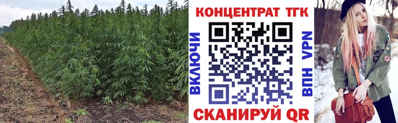 ОМГ ОМГ зеркало Демидов Дистиллят ТГК концентрат
